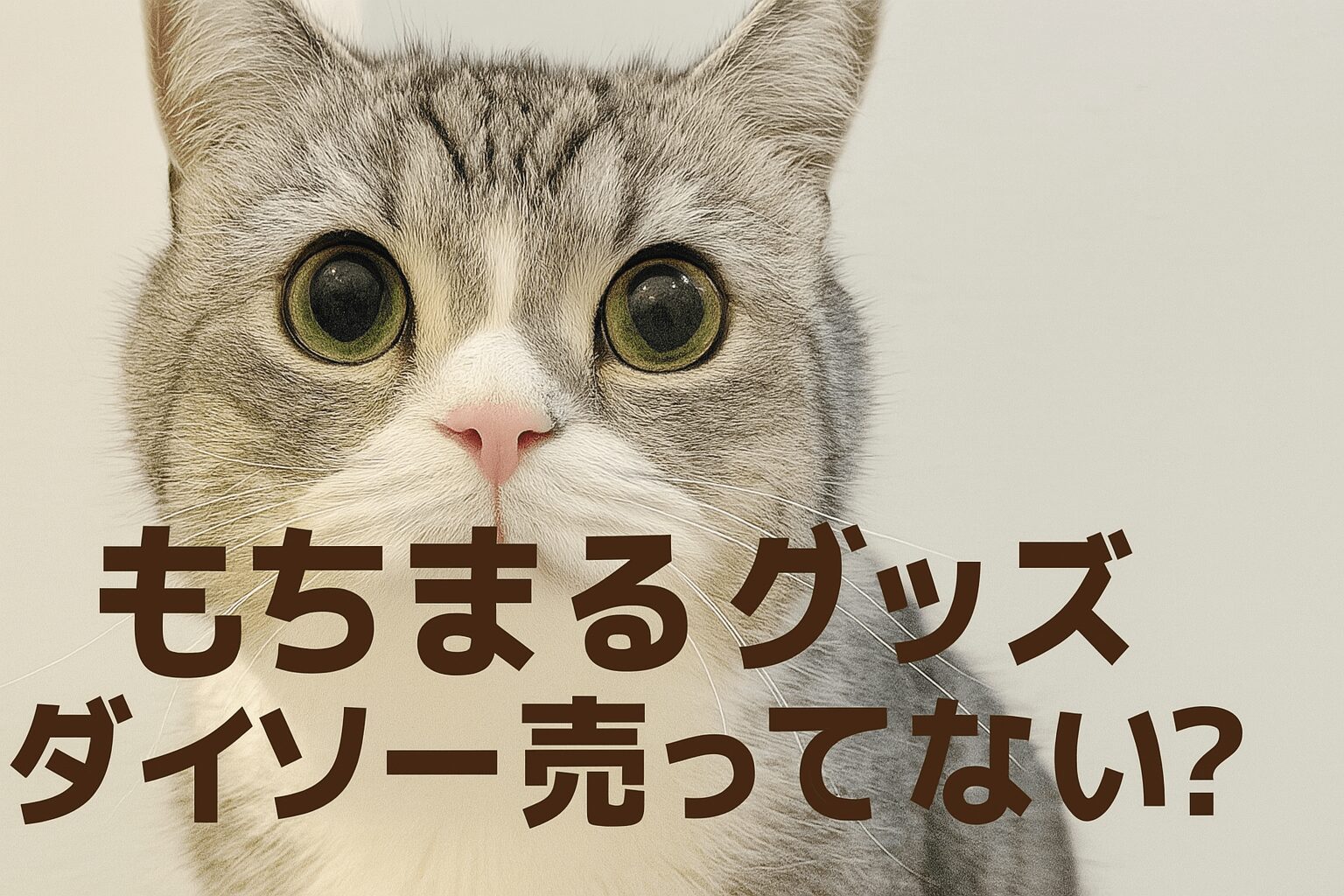 もちまる　グッズ　ダイソー売ってない